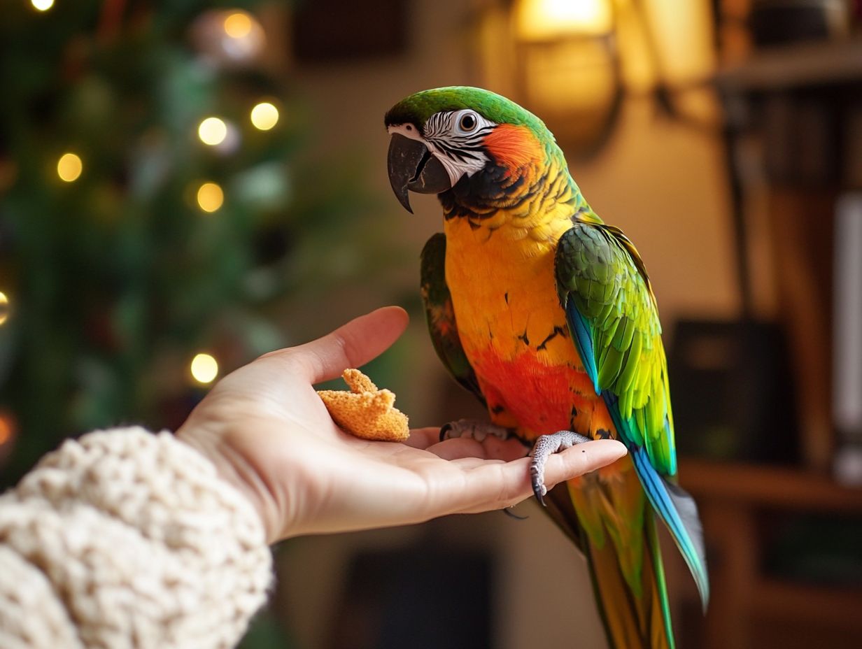 A parrot learning new tricks in a calm training environment