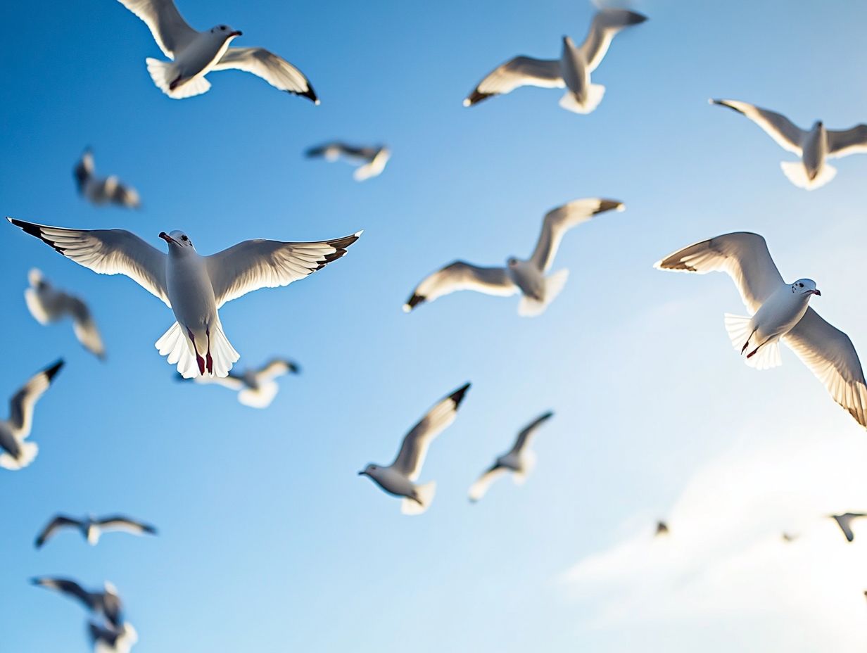 Visual representation of various flocking patterns in birds