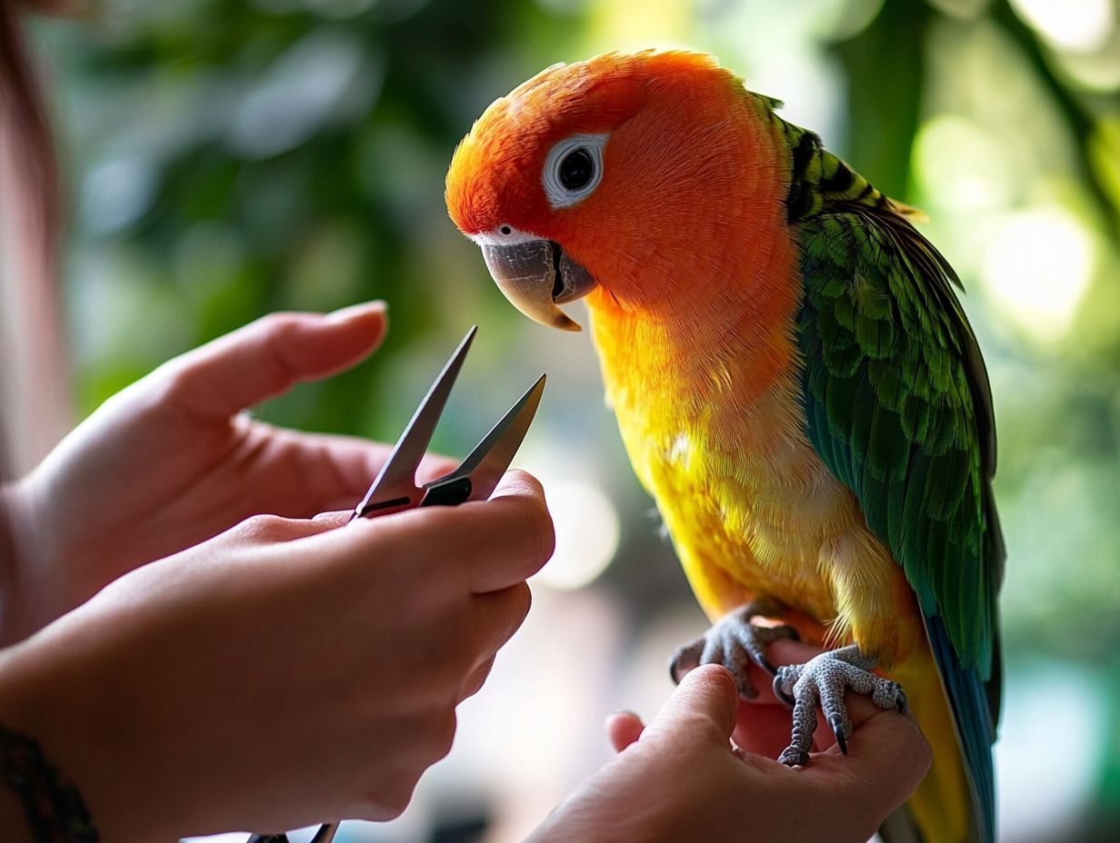 Precautions and Best Practices for Bird Grooming